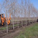 사례농장 이미지