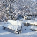 통나무펜션&편백쉼터 이미지