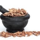 경희아이들한방소아과한의원 이미지