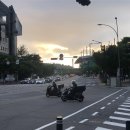 물 속 골리앗 이미지