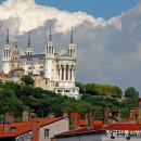 믿음의 동산 이미지