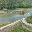 메밀꽃피면 네이버블로그