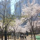 대실근린공원 이미지