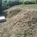 무주장의사 이미지