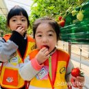 서천농장 이미지