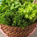 푸른농장 이미지