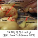 주령축산 티스토리