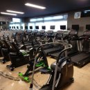 바디포헬스 이미지