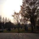 송림팜
