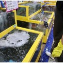 안인펜션 이미지