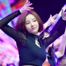 연우스포츠S
