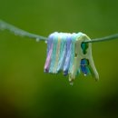 봄비경로당 이미지