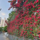 부천부흥중 이미지