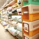 멍멍이와 야옹이 분양 미용 이미지