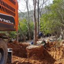 일광농장 이미지