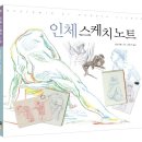 미술의기본스케치 이미지