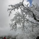 도계동011 이미지