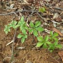 천평농장 이미지