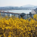 달맞이근린공원 이미지