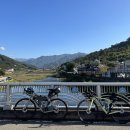 국토종주자전거길1-116 이미지