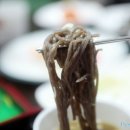 성남바다 이미지