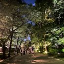 새들기획 | 덕수궁미술관 한국 근현대 자수 : 태양을 잡으려는 새들 뒤늦은 관람후기