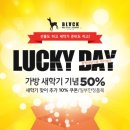 럭키데이 이미지