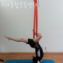 소마통합운동센터
