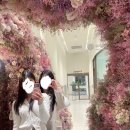 (주)웰니스피트 | [스타필드 수원 콩코드 수영장] 일일권 후기! feat. 다이슨 드라이기 + 포토존