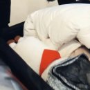 알제이