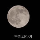 블루문 투어코리아