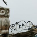 성일카 랜드 이미지