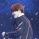 플레로마 이미지