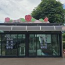 장미매점 이미지