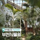 부천-오정-부천-7호 | 부천 실내 아이랑 가볼만한곳 부천식물원 주차장 등 무료입장