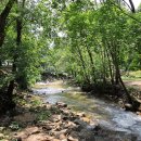 평창 태기산 캠핑장 펜션 이미지