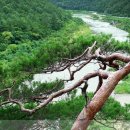 역골농장 이미지