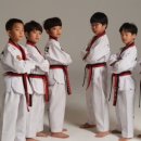 명문 태권도장 이미지