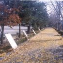 산서중학교 이미지