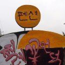 섬진강찔레꽃언덕