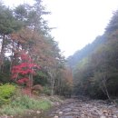 구마일주통나무산장 이미지