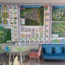 스카이스타부동산공인중개사사무소 이미지