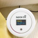 대진의료기 | 라돈측정기 라돈아이 대여 후 측정 후기(태국라텍스 라돈 측정)