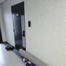 대전카페트세탁 러그 카페트 수거 배달 세탁소 얼룩 냄새 제거 물 세탁 대전 세종 부여 논산 계룡 공주...