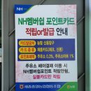 채움셀프주유소 네이버블로그