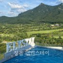 쌤펜션 | 정읍 풀빌라 펜션 엘리스테이: 인피니티풀, 스파까지 솔직후기