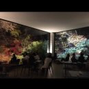 신현로 | 광주 신현리 벚꽃 만개 베이커리 카페 버터떡 맛집 스멜츠 smeltz 4/8