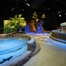 현대수족관 이미지