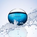 성년의 날, 나만의 향수 만들기 | 성년의 날 향수 추천 여자,남자에게 어울리는 브랜드별 선물 리스트