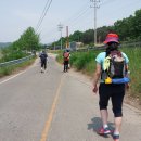 깡푸우와 함께 떠난 100km도보여행 : 대천에서 대전까지(폰카로 본 세상)...도보 첫날 #2... 이미지